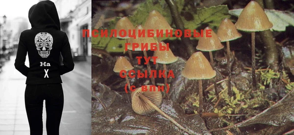 прущий лед Аркадак