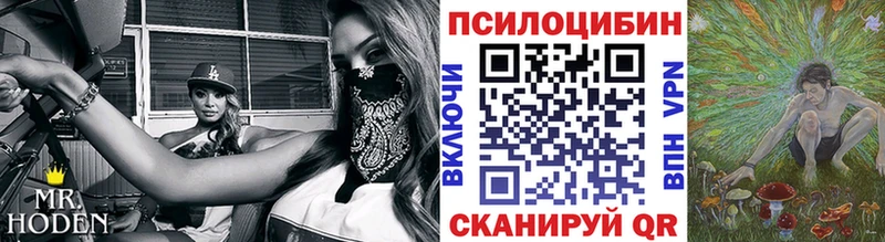 где продают   мориарти формула  Псилоцибиновые грибы прущие грибы  Пыталово 